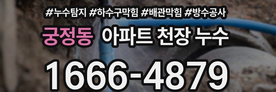 궁정동 아파트 천장 누수