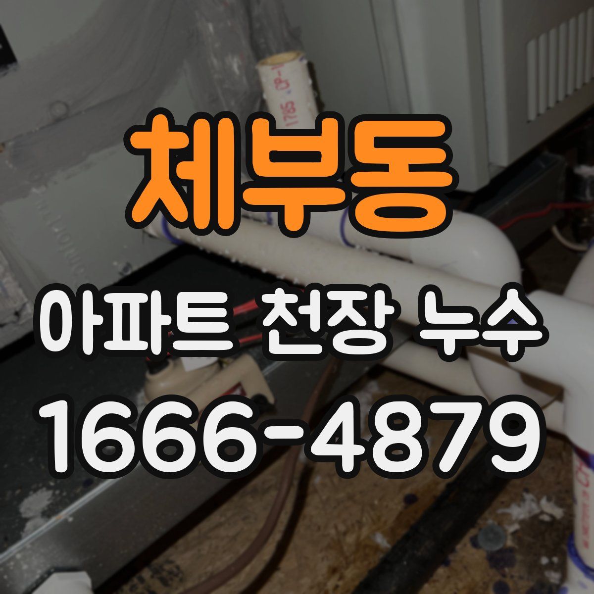 체부동 아파트 천장 누수