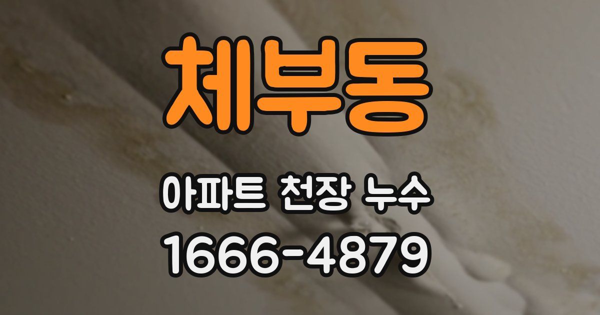 체부동 아파트 천장 누수