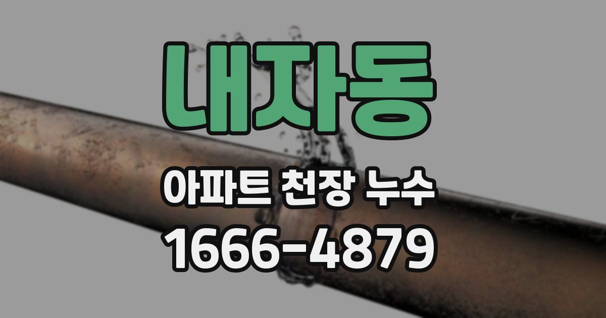 내자동 아파트 천장 누수