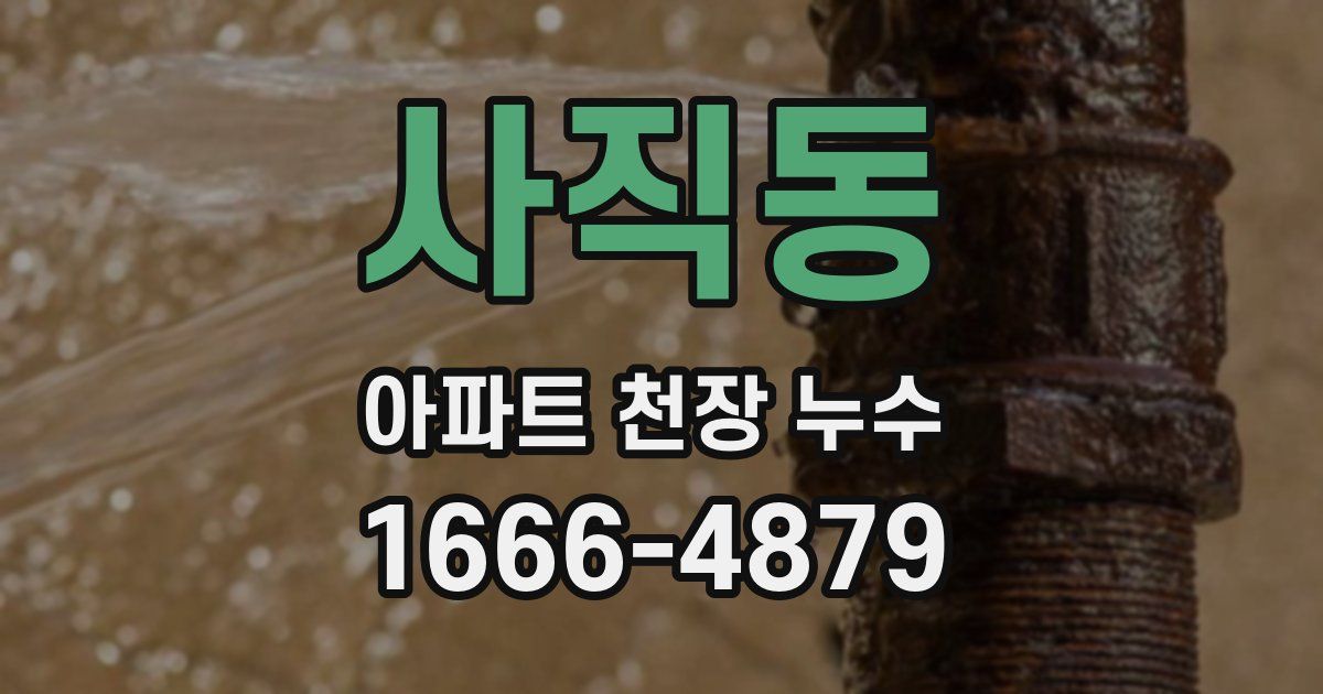 사직동 아파트 천장 누수