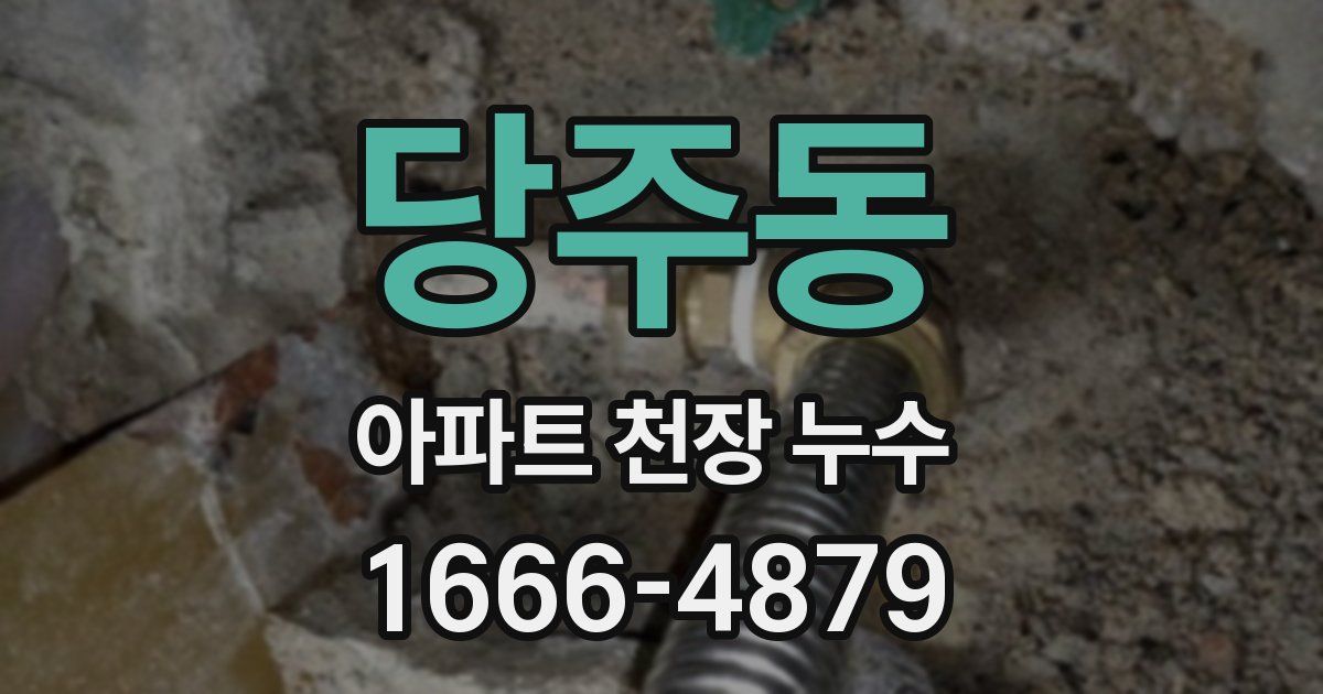 당주동 아파트 천장 누수