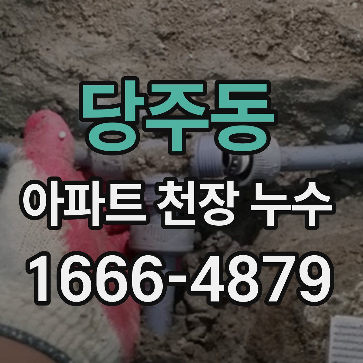 당주동 아파트 천장 누수