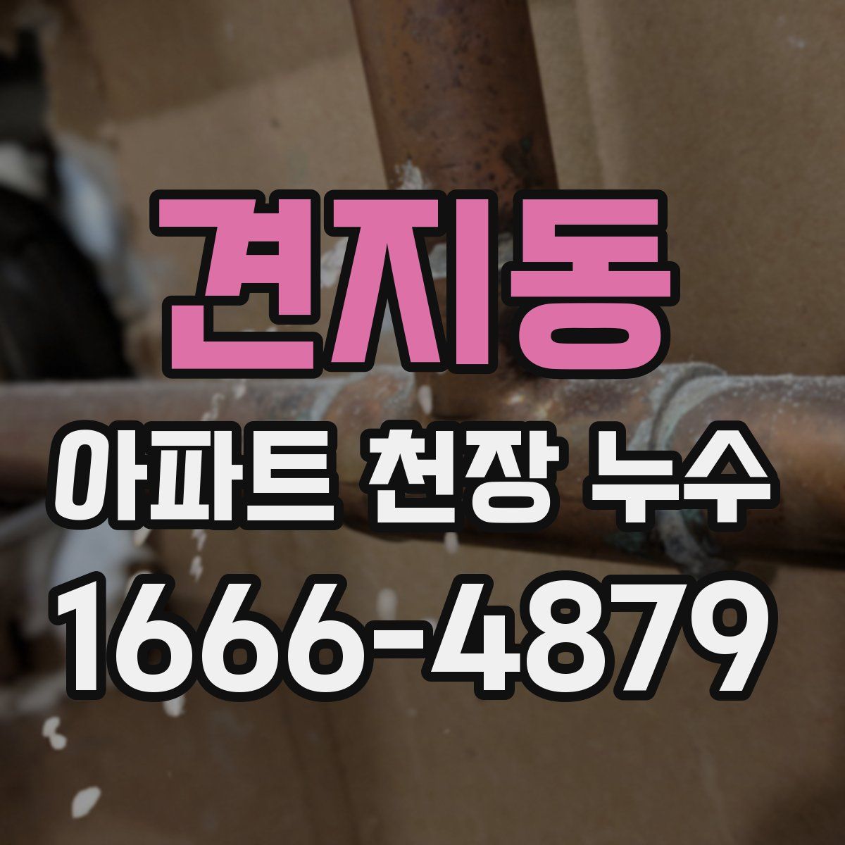 견지동 아파트 천장 누수