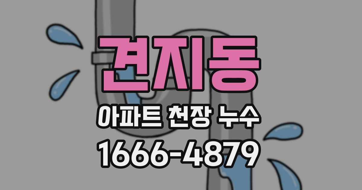 견지동 아파트 천장 누수