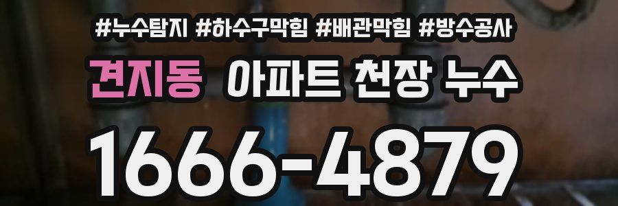 견지동 아파트 천장 누수