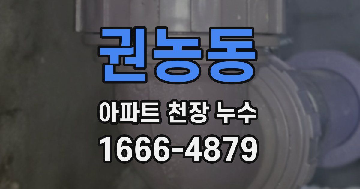 권농동 아파트 천장 누수