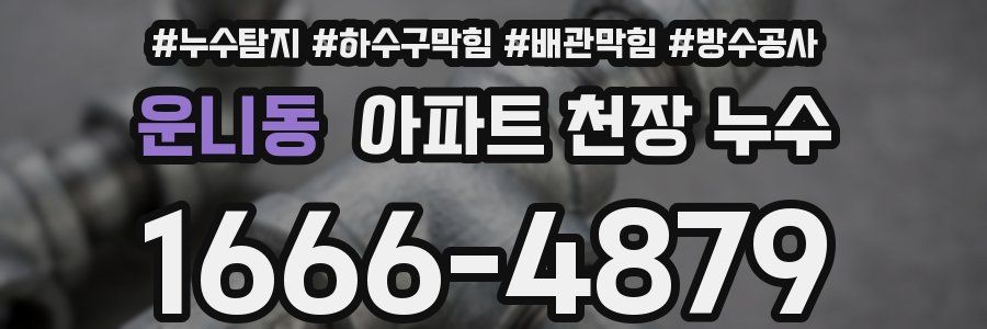 운니동 아파트 천장 누수