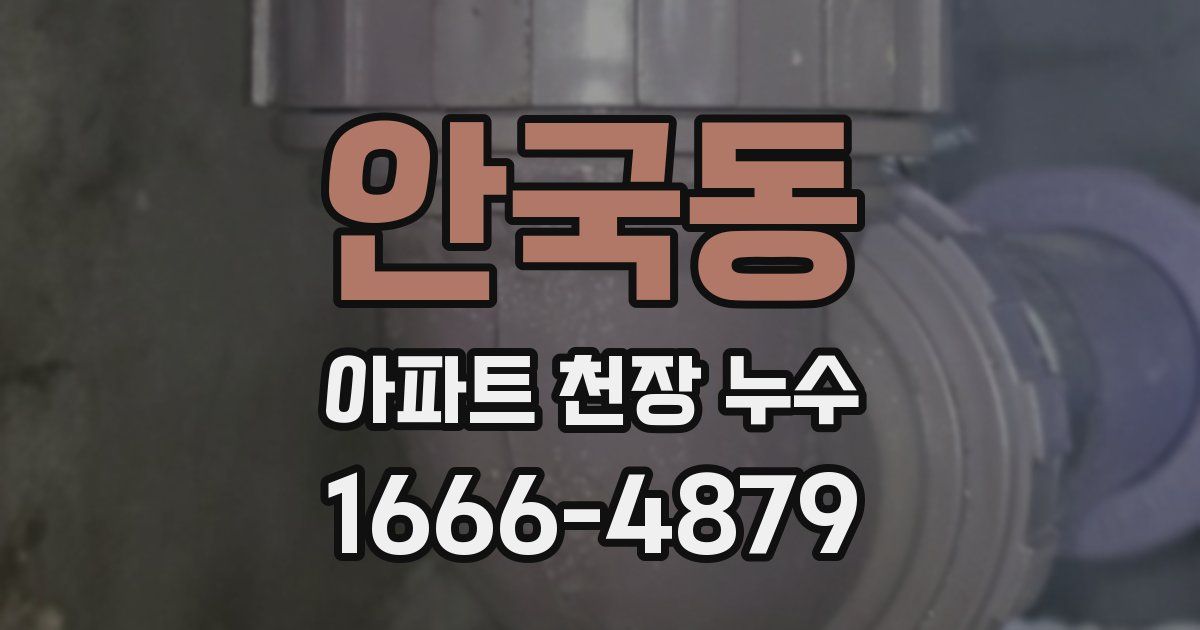 안국동 아파트 천장 누수