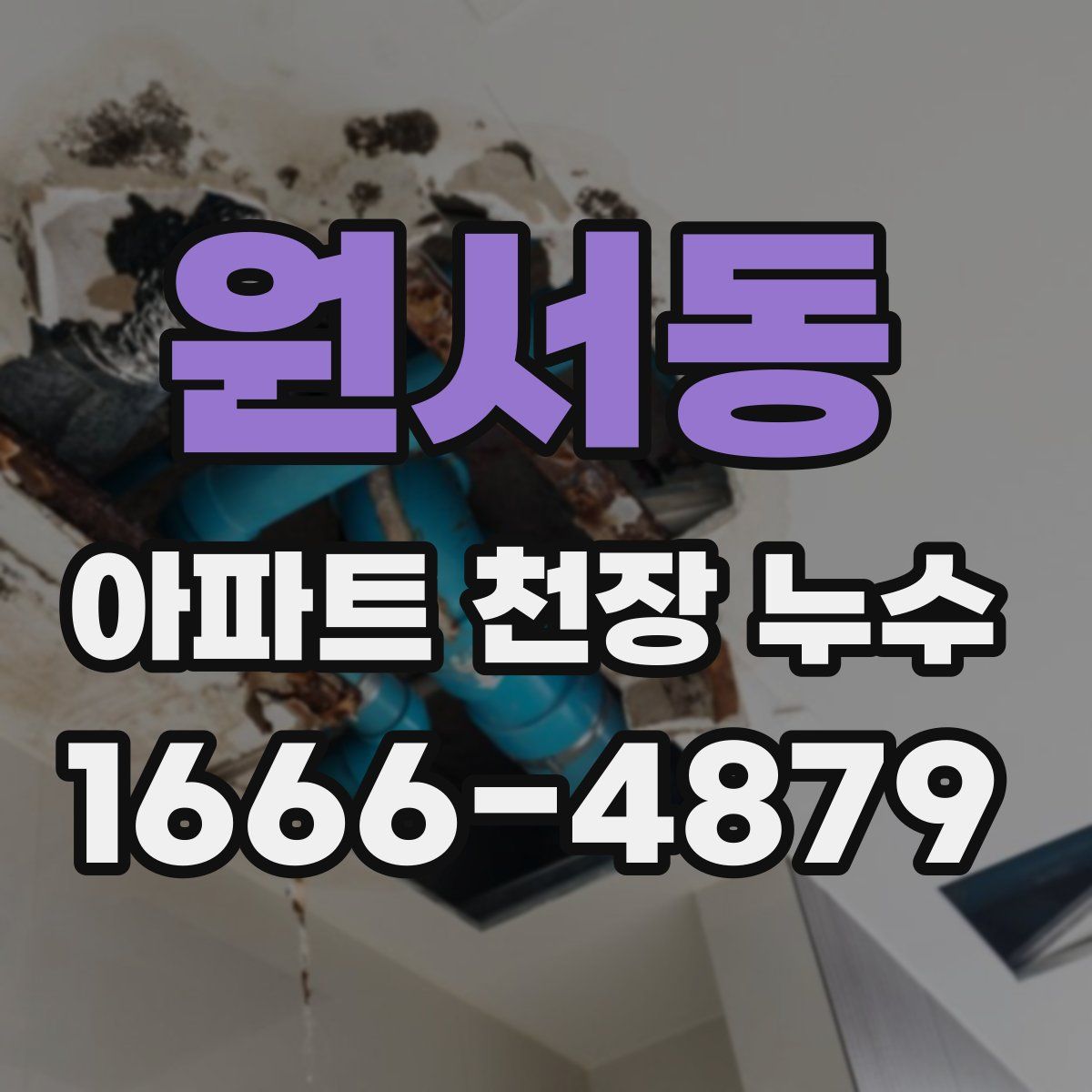 원서동 아파트 천장 누수
