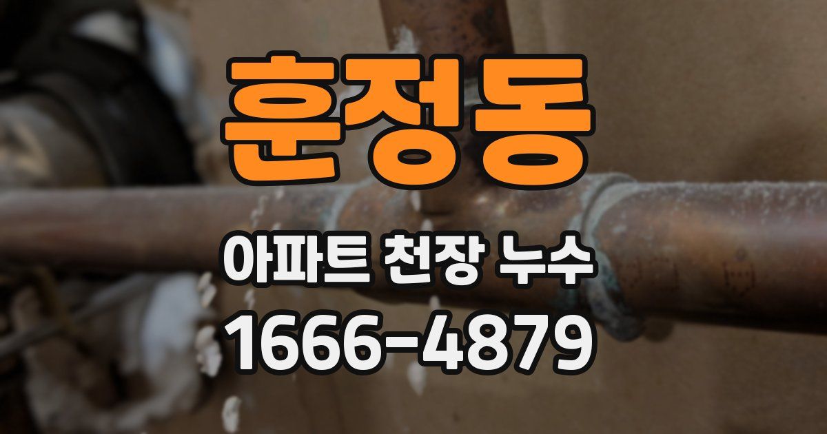 훈정동 아파트 천장 누수