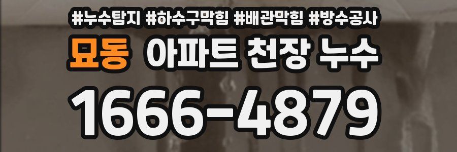 묘동 아파트 천장 누수