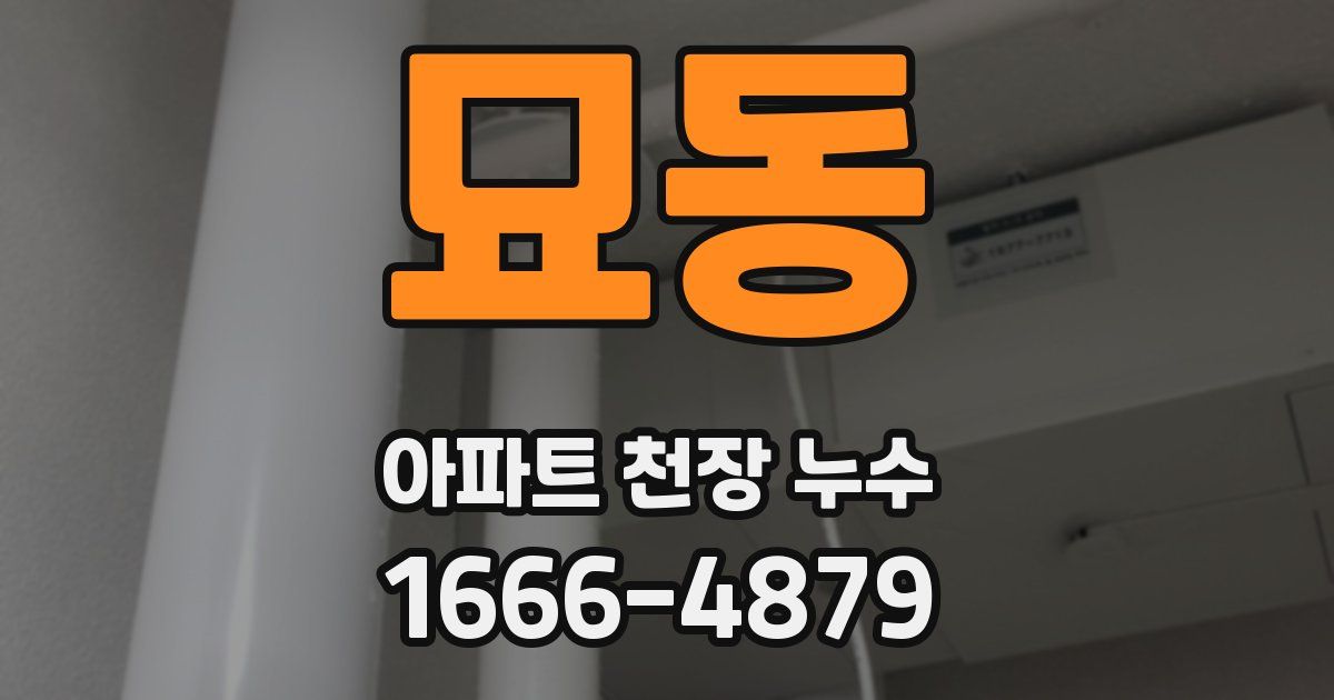 묘동 아파트 천장 누수