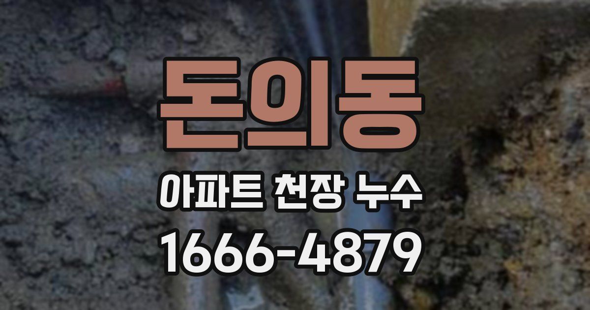 돈의동 아파트 천장 누수
