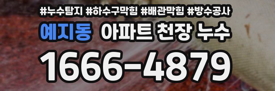 예지동 아파트 천장 누수