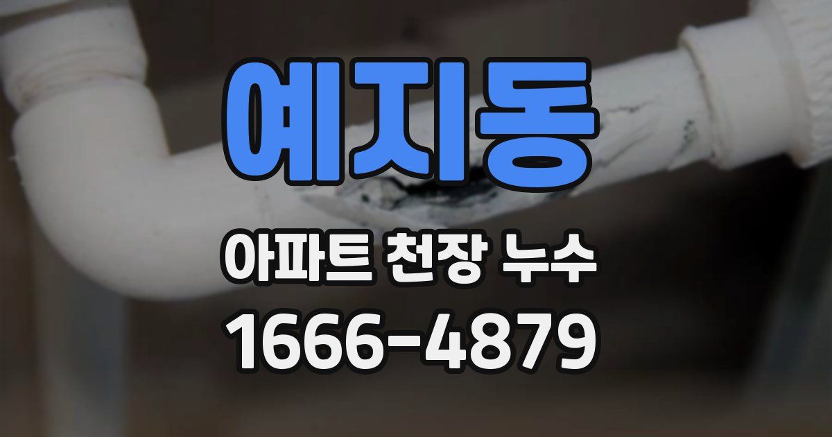 예지동 아파트 천장 누수