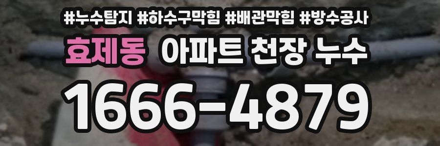 효제동 아파트 천장 누수