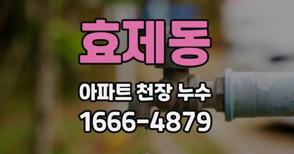 효제동 아파트 천장 누수