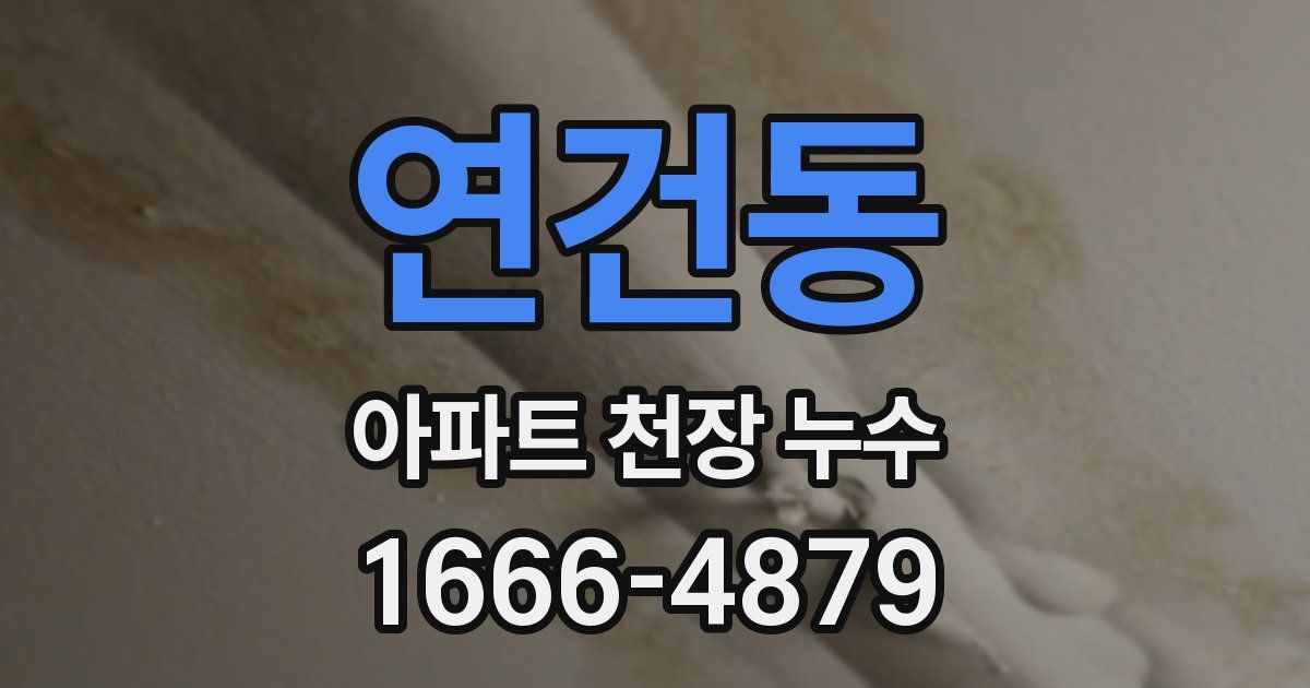 연건동 아파트 천장 누수
