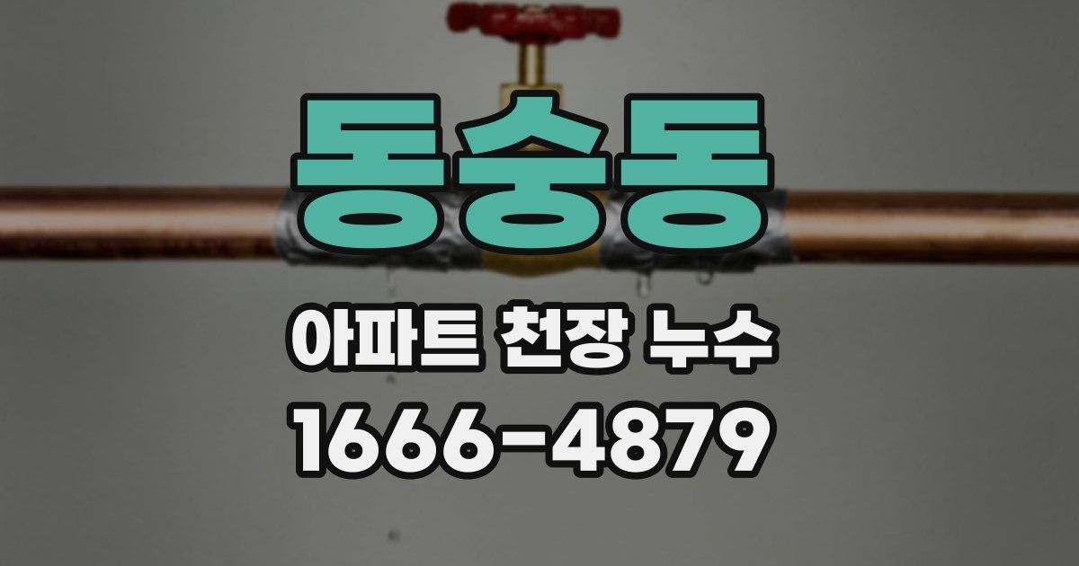 동숭동 아파트 천장 누수