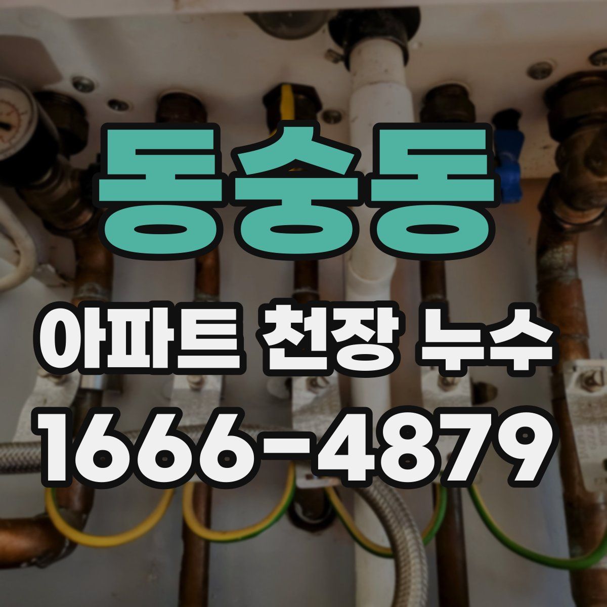 동숭동 아파트 천장 누수