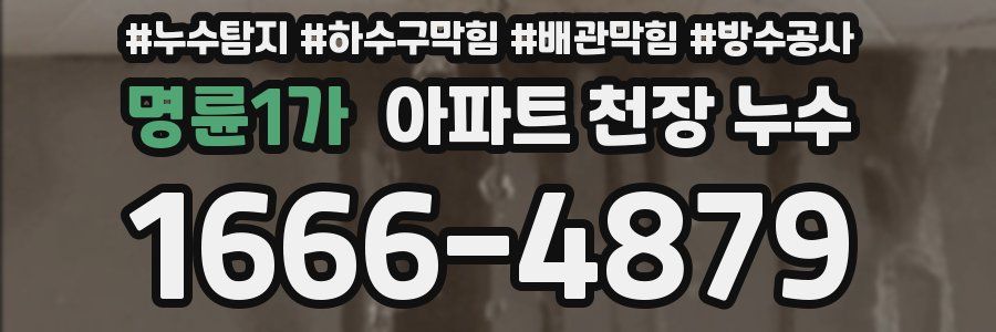 명륜1가 아파트 천장 누수