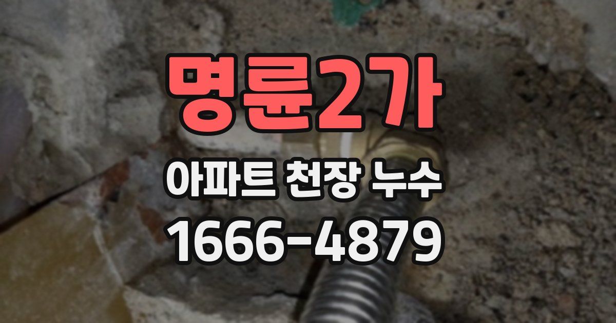 명륜2가 아파트 천장 누수