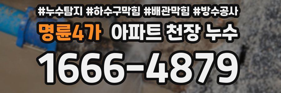 명륜4가 아파트 천장 누수