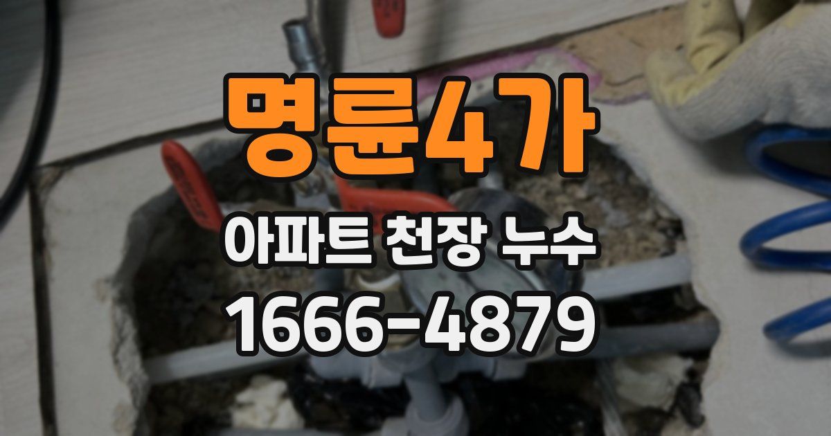 명륜4가 아파트 천장 누수