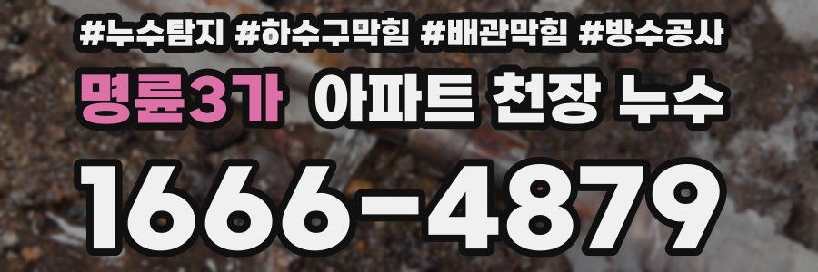 명륜3가 아파트 천장 누수