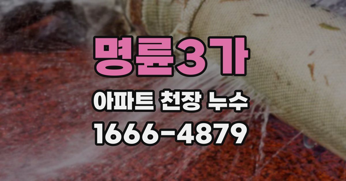 명륜3가 아파트 천장 누수