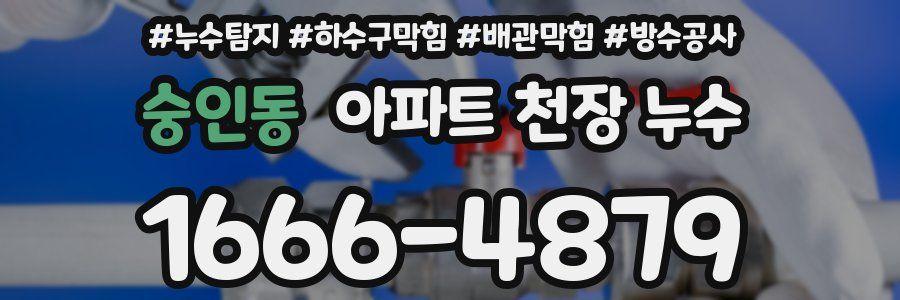 숭인동 아파트 천장 누수