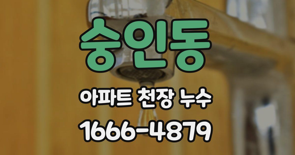 숭인동 아파트 천장 누수