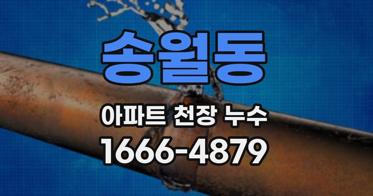 송월동 아파트 천장 누수