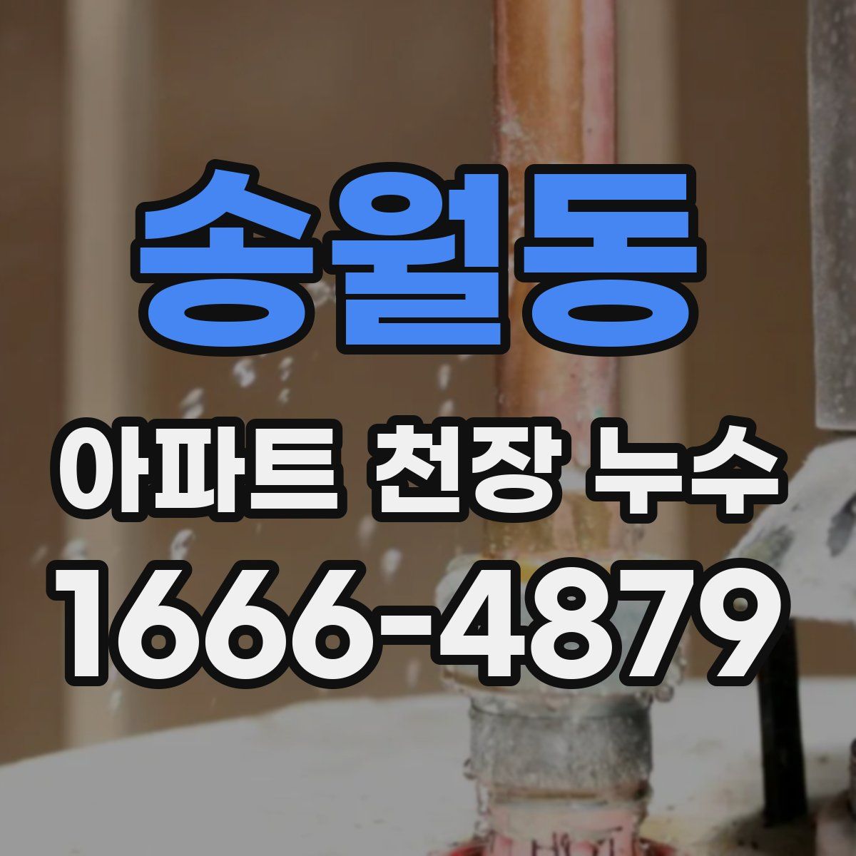 송월동 아파트 천장 누수