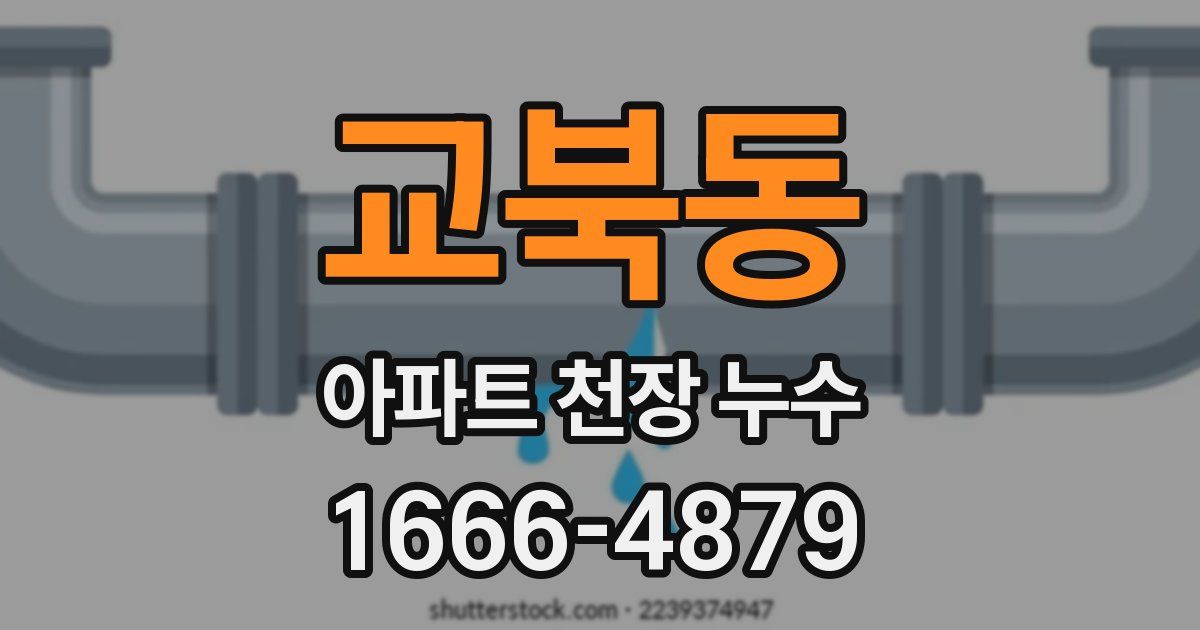 교북동 아파트 천장 누수