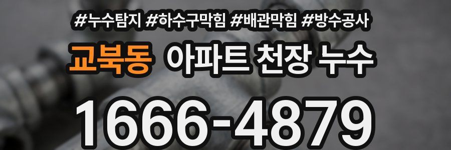 교북동 아파트 천장 누수