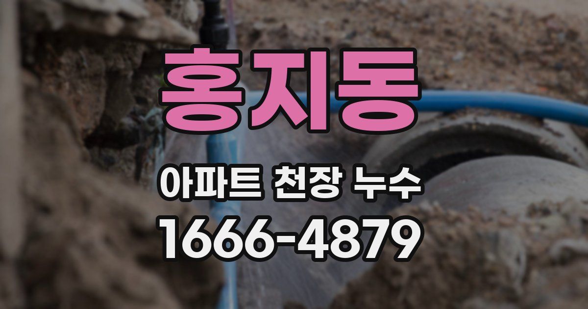 홍지동 아파트 천장 누수
