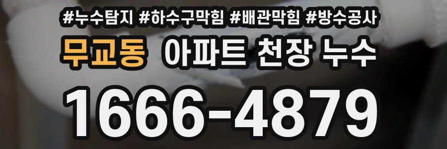 무교동 아파트 천장 누수