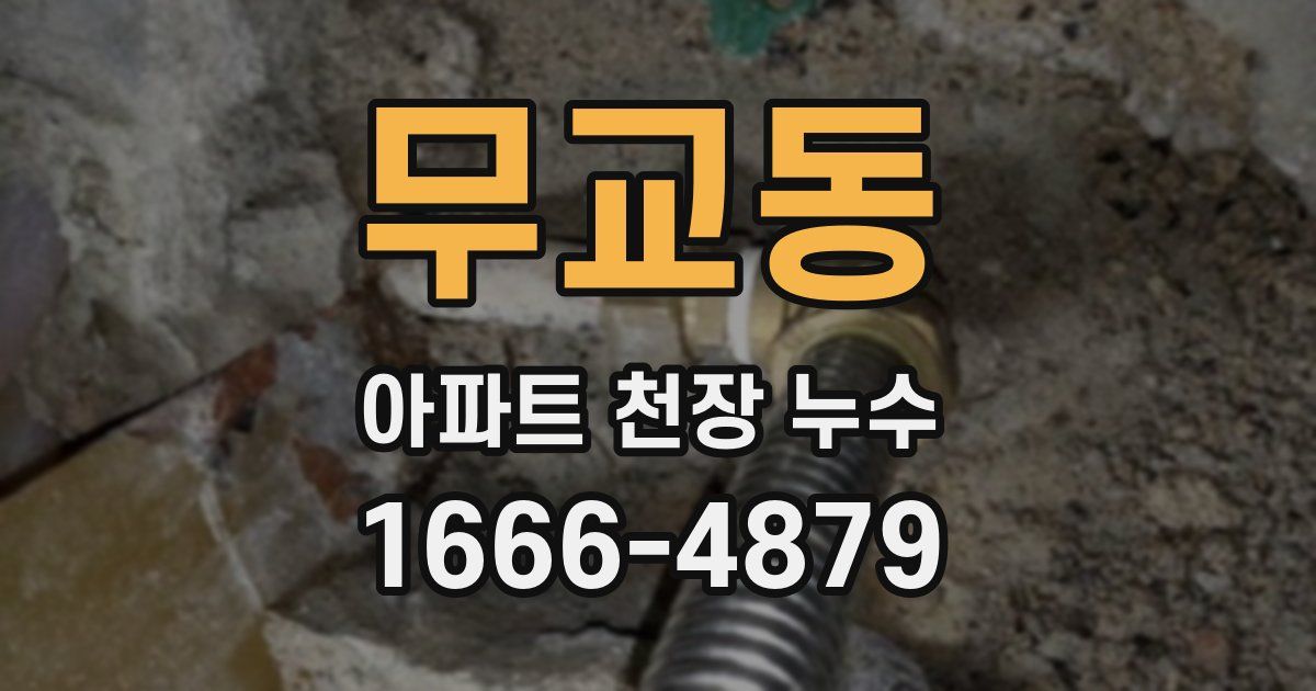 무교동 아파트 천장 누수