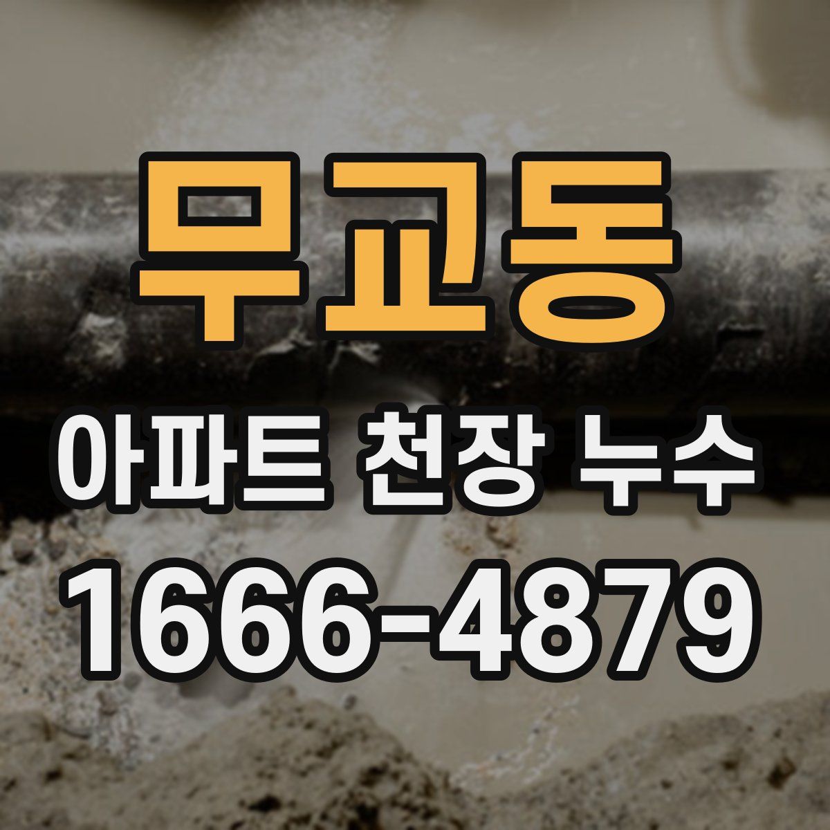 무교동 아파트 천장 누수