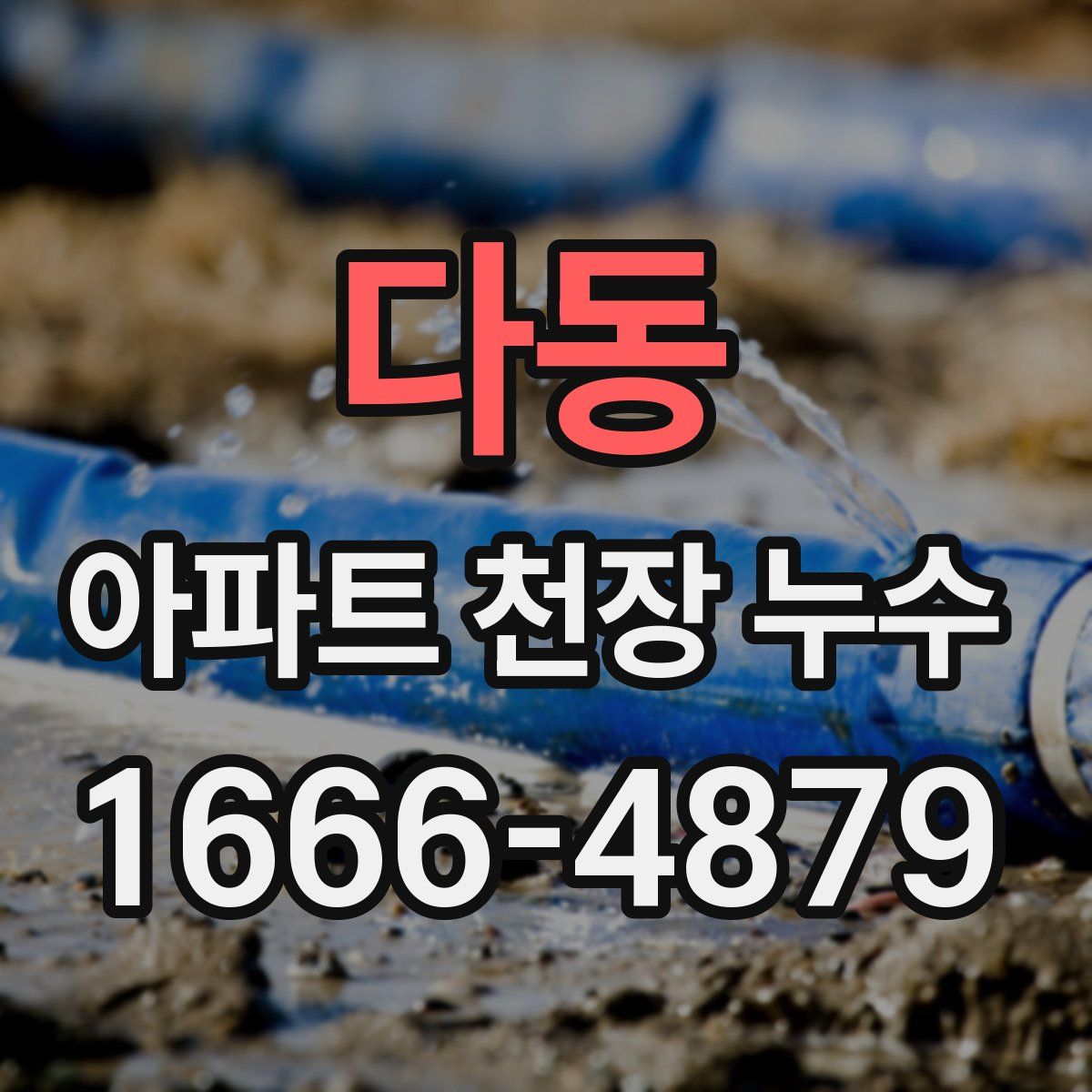 다동 아파트 천장 누수
