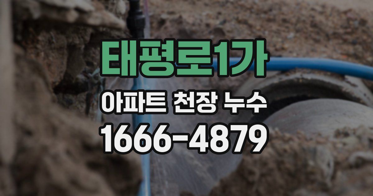태평로1가 아파트 천장 누수