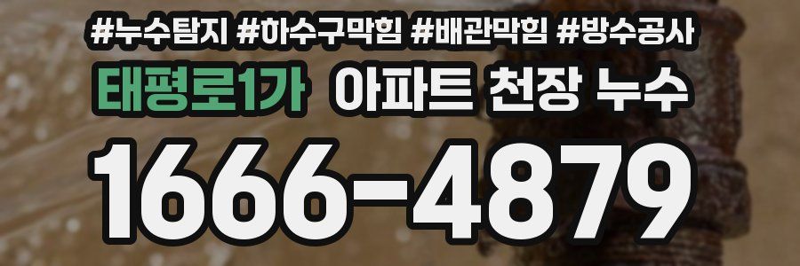 태평로1가 아파트 천장 누수