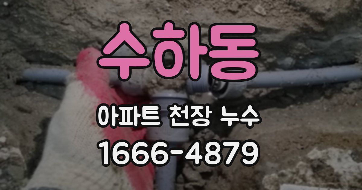 수하동 아파트 천장 누수