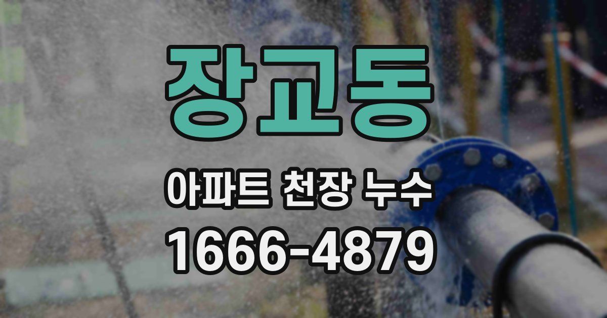 장교동 아파트 천장 누수