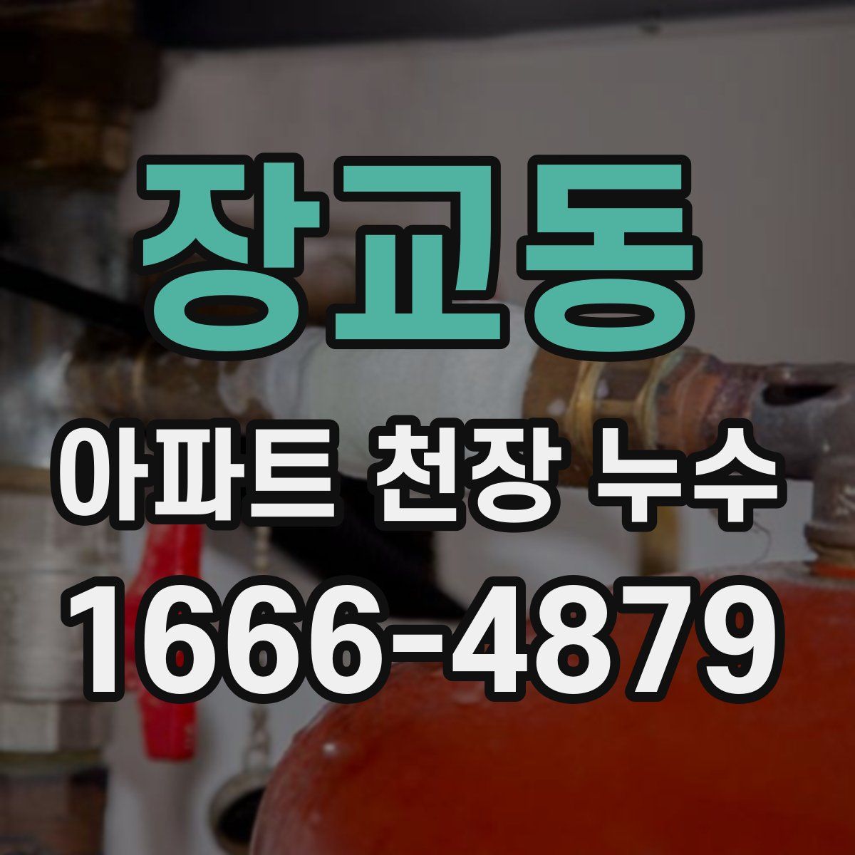 장교동 아파트 천장 누수