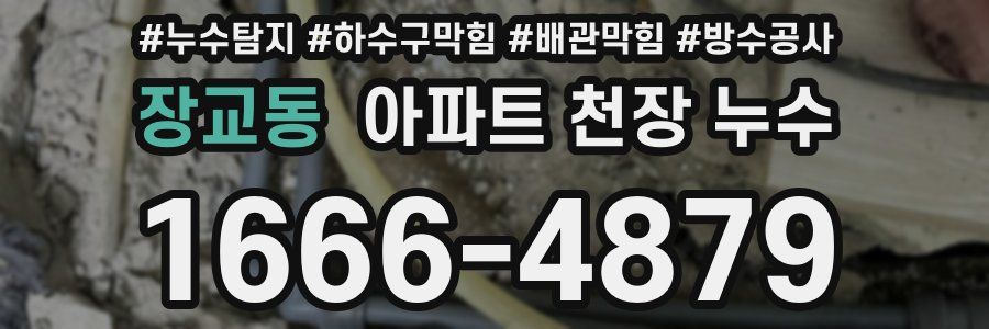 장교동 아파트 천장 누수