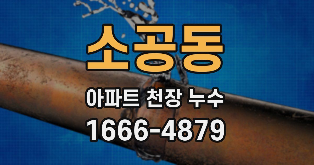 소공동 아파트 천장 누수