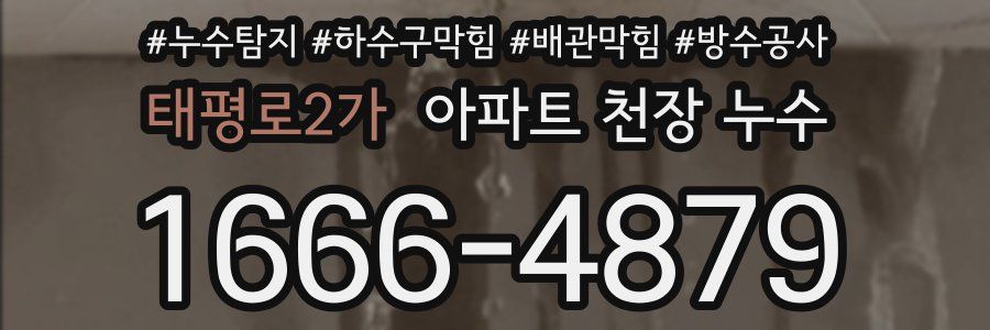 태평로2가 아파트 천장 누수
